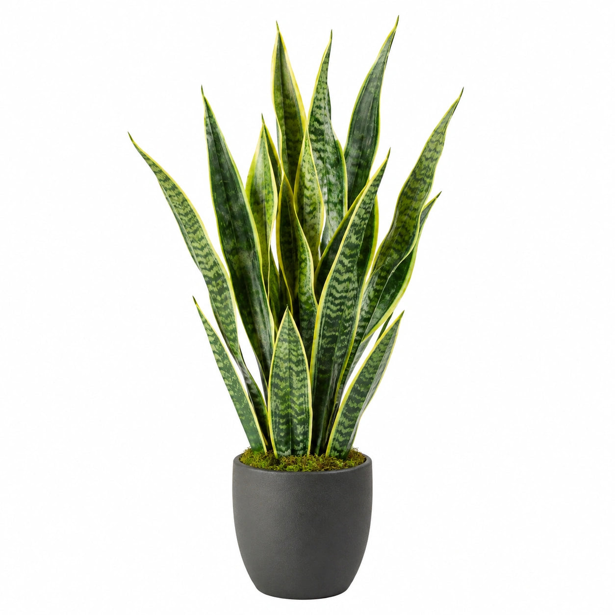 Plante artificielle en pot 85 cm feuillage vert bordé de jaune décoration intérieure réaliste
