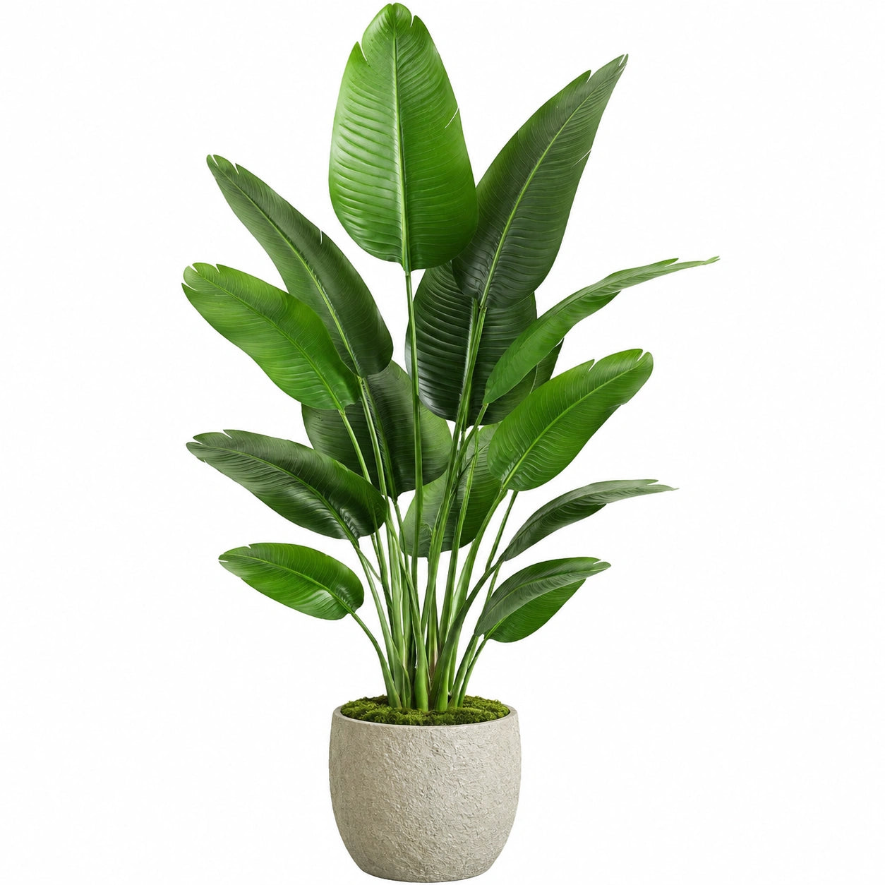Plante verte artificielle 180 cm feuillage vert en plastique avec pot décoratif pour intérieur